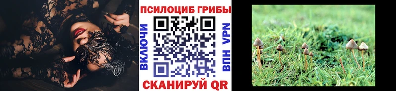 Псилоцибиновые грибы Cubensis  Орлов 